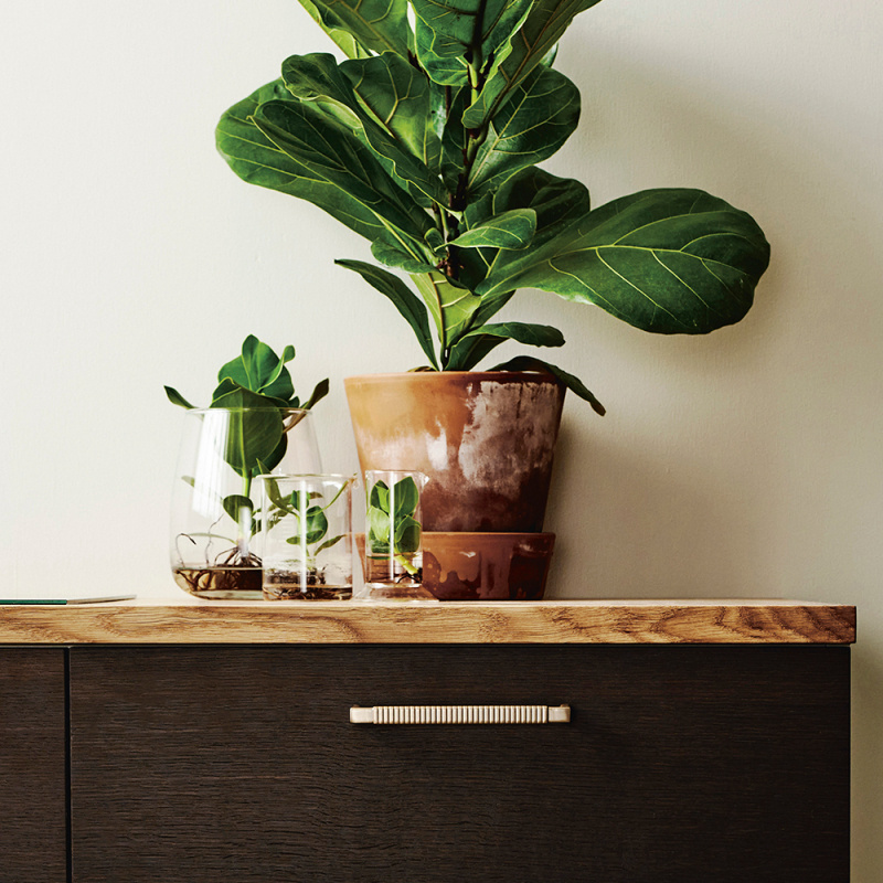 Håndtak Rattan - Børstet messing